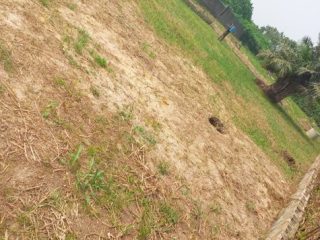plot-15