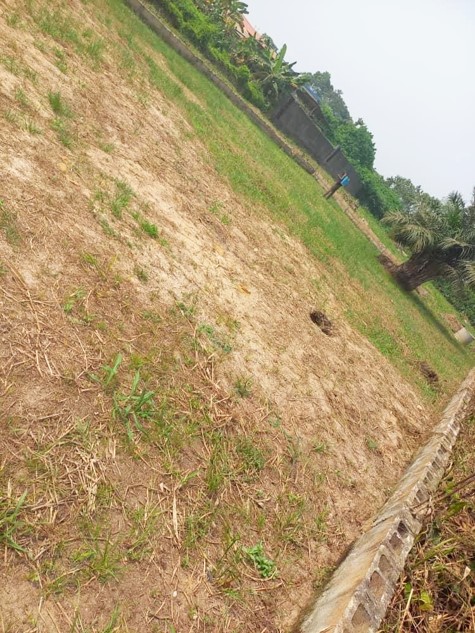 A well-fenced plot of land in a developed and secured estate with no waterlogging